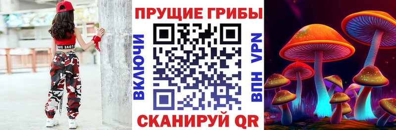 мега ссылка  Черноголовка  Псилоцибиновые грибы Magic Shrooms 